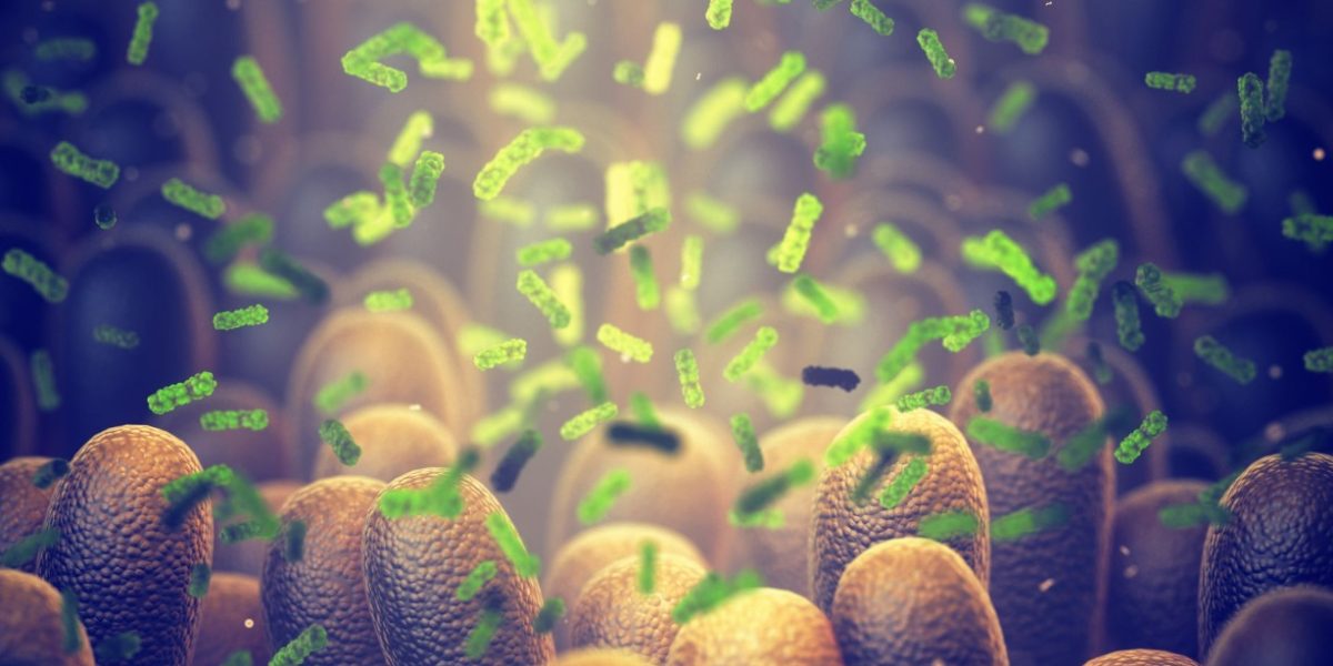 Bacterie „ucigașă” inventată: Distruge tumorile din interior