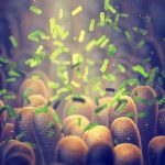 Bacterie „ucigașă” inventată: Distruge tumorile din interior