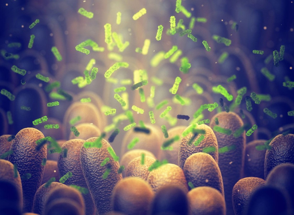 Bacterie "ucigașă" inventată: Distruge tumorile din interior