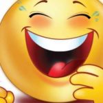 Ursul și vulpea, prietenie neașteptată în pădure