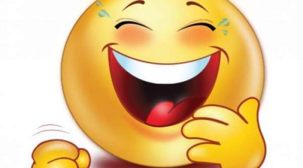 Ursul și vulpea, prietenie neașteptată în pădure