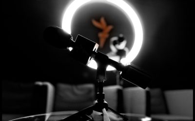 De șapte ani, investigațiile realizate de Europa Liberă România au scos la lumină modul în care se cheltuie banii publici, funcționarea instituțiilor statului și, mai ales, consecințele eșecului administrativ