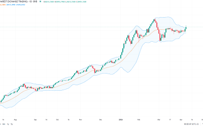Indicii Bursei de Valori București (BVB) au urcat miercuri, entuziasmați de veștile de pe scena internațională
