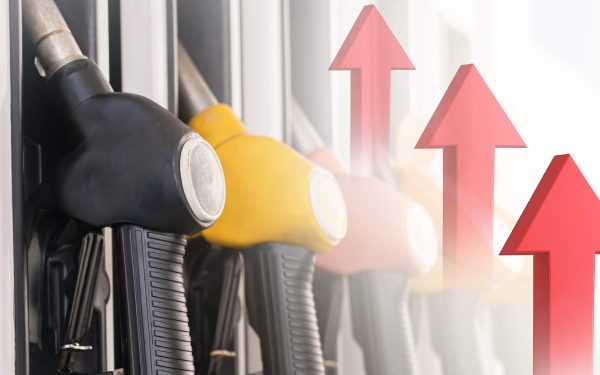Criză energetică: Germania convoacă Consiliul de Securitate, Spania investighează companiile