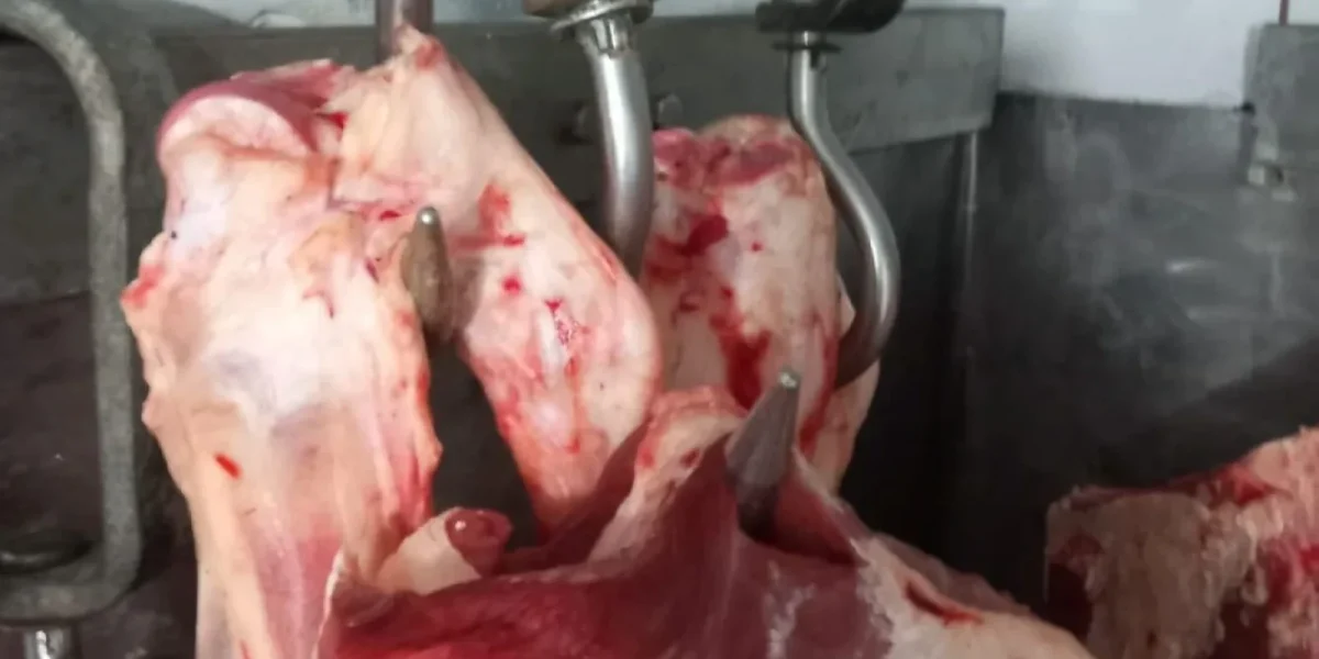 Carne Depozitată În Condiții Inacceptabile: ANPC Aplică Amenzi Grele După Controale În Țară Inspectorii Autorității Naționale pentru Protecția Consumatorilor (ANPC) au desfășurat o serie de controale ample la nivel național, în urma cărora au descoperit nereguli grave privind depozitarea și comercializarea produselor alimentare