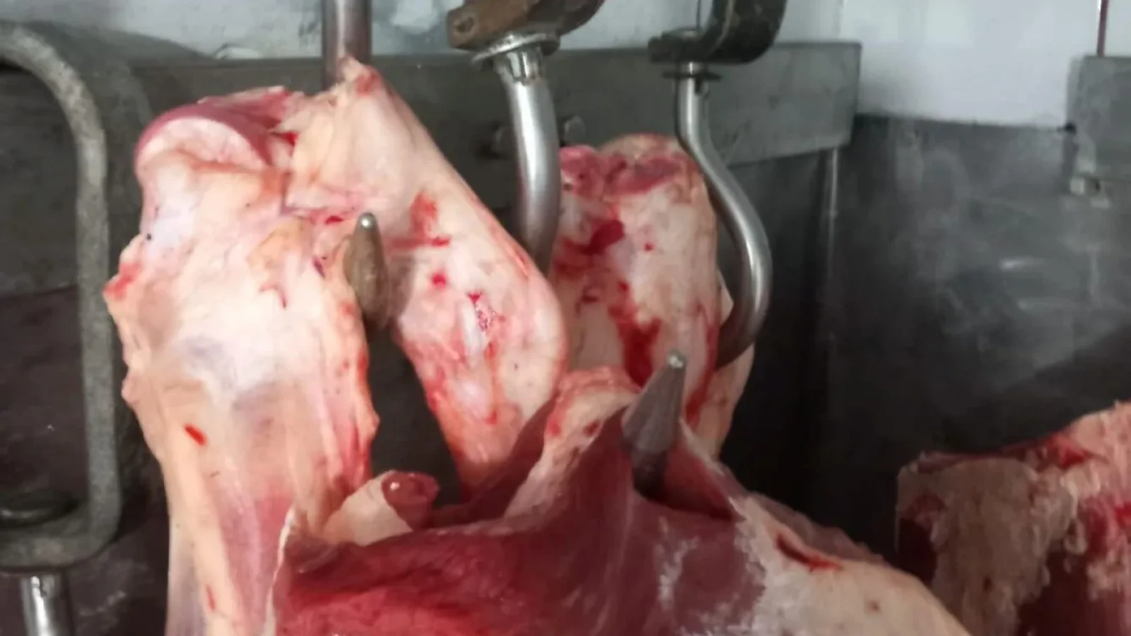 Carne Depozitată În Condiții Inacceptabile: ANPC Aplică Amenzi Grele După Controale În Țară Inspectorii Autorității Naționale pentru Protecția Consumatorilor (ANPC) au desfășurat o serie de controale ample la nivel național, în urma cărora au descoperit nereguli grave privind depozitarea și comercializarea produselor alimentare