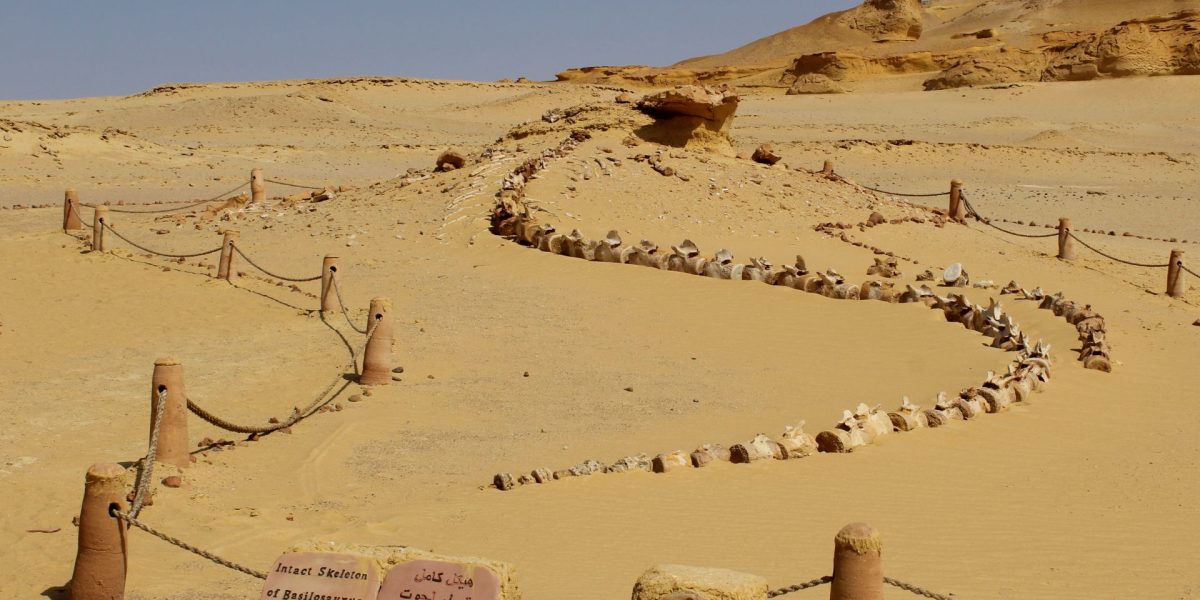 Un eveniment antic a dus la declinul VECHIULUI Regat Egiptean, arată studiile