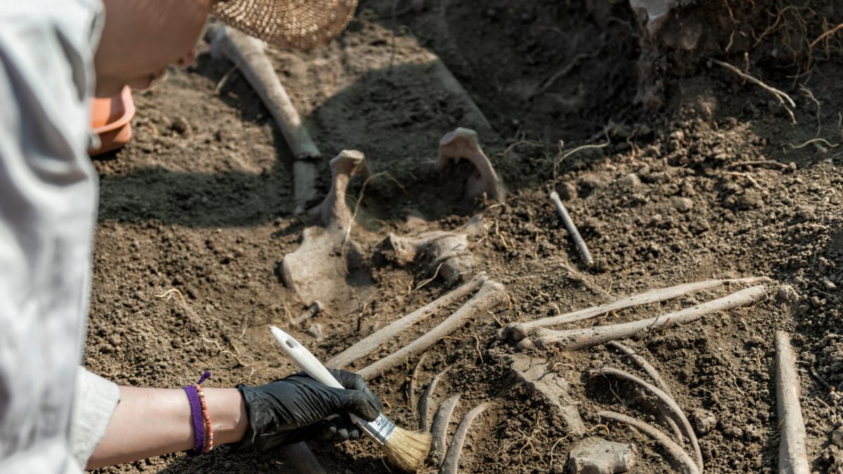 Antichitate: Un peisaj scoate la iveală urmele strămoșilor de acum 100.000 ani