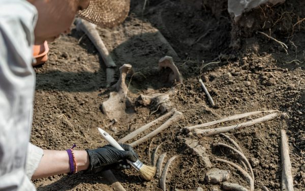 Antichitate: Un peisaj scoate la iveală urmele strămoșilor de acum 100.000 ani