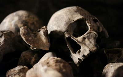 Catacombele din Paris, celebre pentru osemintele a milioane de oameni, și-au redeschis porțile pentru vizitatori după o perioadă de aproximativ șase luni de închidere