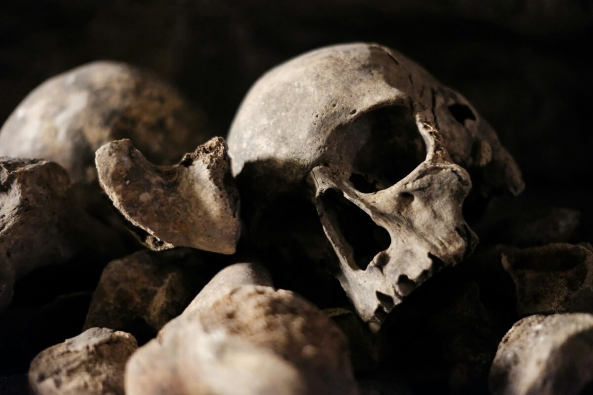 Catacombele din Paris, celebre pentru osemintele a milioane de oameni, și-au redeschis porțile pentru vizitatori după o perioadă de aproximativ șase luni de închidere