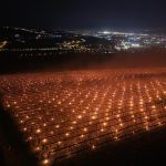 Agricultor din România, falit peste noapte: 40.000 de euro, ”arși” la cireșe