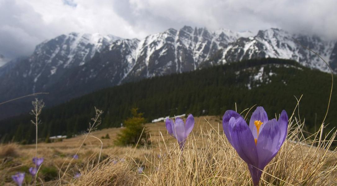 Ger năpraznic de Paște în România: Meteorologii anunță vreme de iarnă!