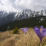 Ger năpraznic de Paște în România: Meteorologii anunță vreme de iarnă!