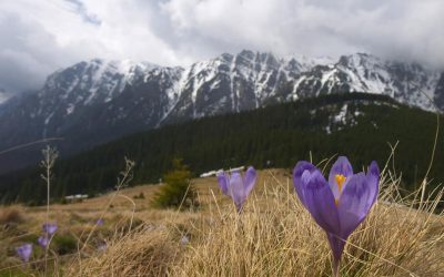 Ger năpraznic de Paște în România: Meteorologii anunță vreme de iarnă!
