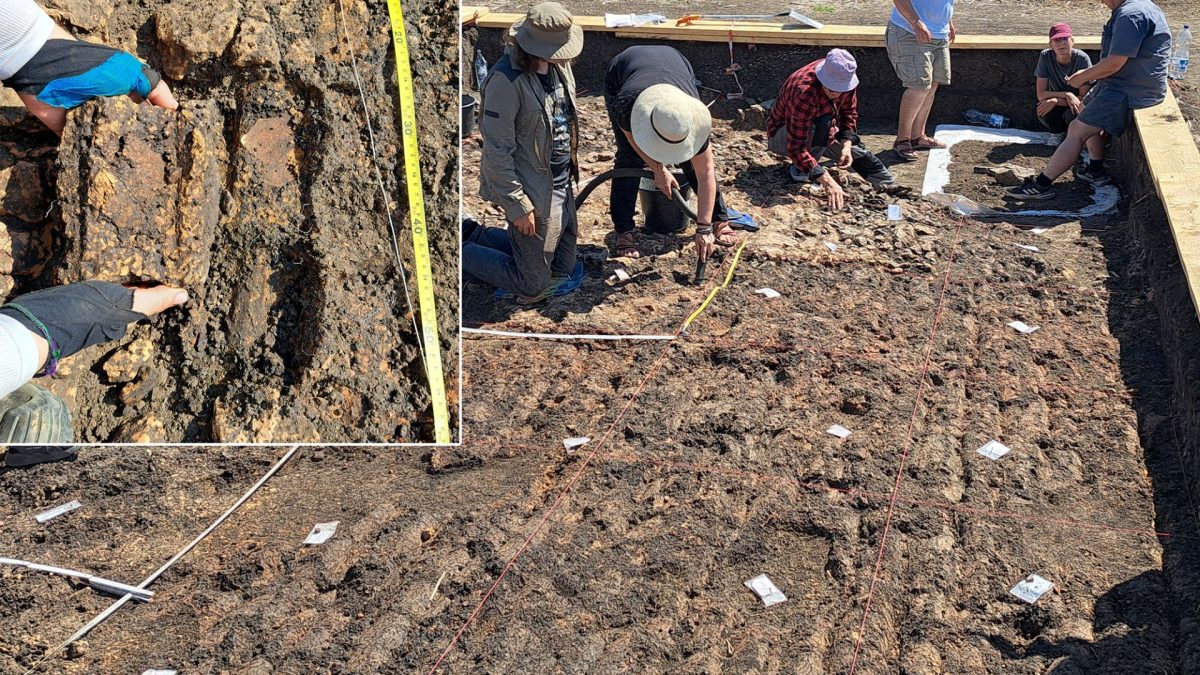 Arheologi din România și Germania, descoperire-șoc la Cucuteni