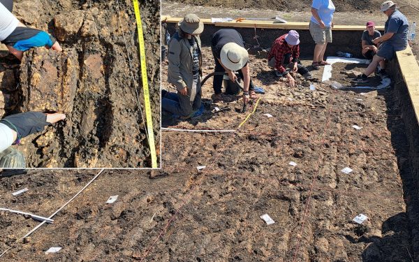 Arheologi din România și Germania, descoperire-șoc la Cucuteni