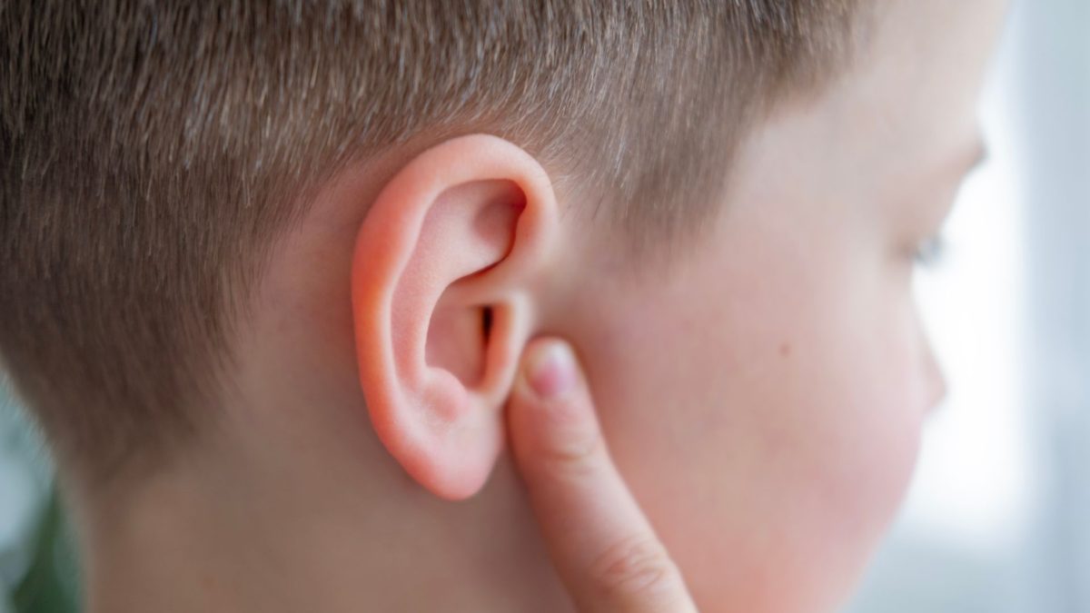 Află ce parte a corpului uman NU are nicio funcție biologică vitală