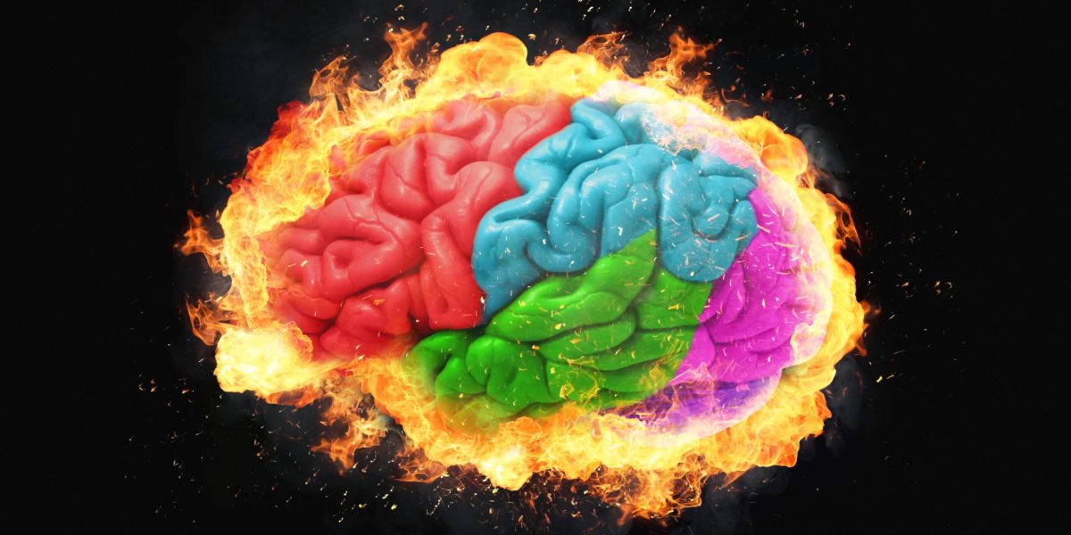 Creierul adolescentului nu se finalizează la 25 de ani, ci este un mit răspândit în cultură și emergent din studii inițiale de imagistică cerebrală