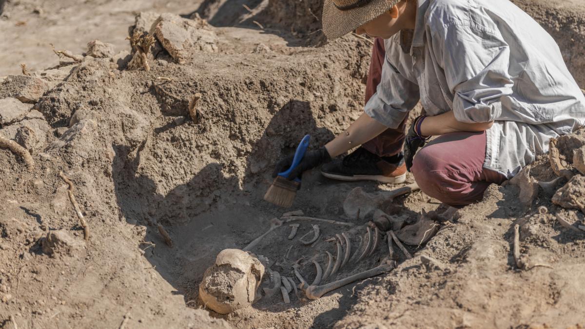 Amud 7: Bebelușul Neanderthalian, Dezvoltare ULUITOARE, Surclasează Oamenii Moderni