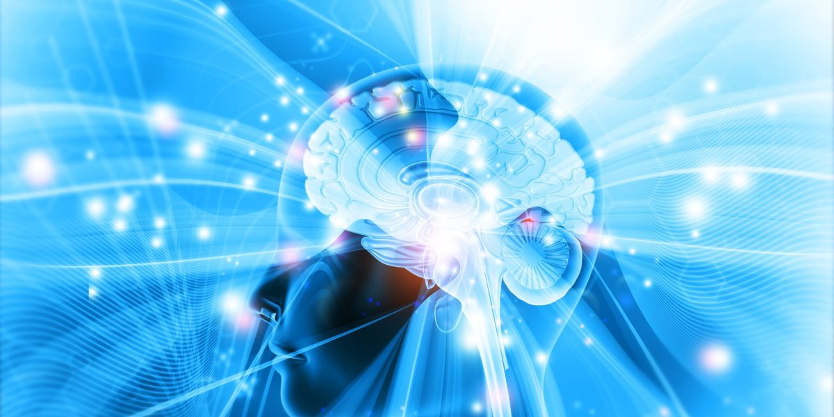 Descoperiri revoluționare în neuroștiință în 2025 Anul 2025 a adus în centrul atenției comunității științifice evoluții semnificative în înțelegerea creierului uman