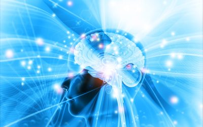 Descoperiri revoluționare în neuroștiință în 2025 Anul 2025 a adus în centrul atenției comunității științifice evoluții semnificative în înțelegerea creierului uman