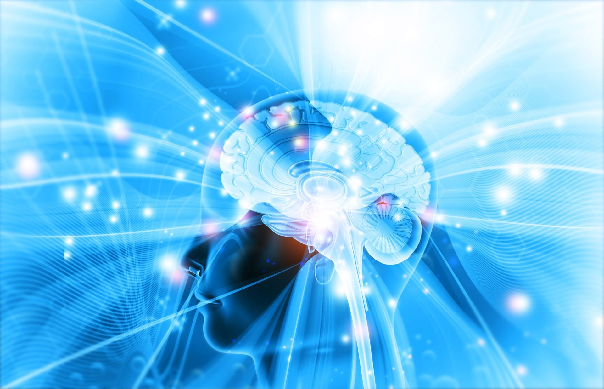 Descoperiri revoluționare în neuroștiință în 2025 Anul 2025 a adus în centrul atenției comunității științifice evoluții semnificative în înțelegerea creierului uman