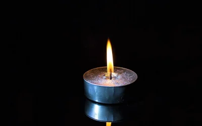 MARIO ADORF, O LEGENDĂ A CINEMATOGRAFIEI EUROPENE, A LĂSAT O MOȘTENIRE IMPRESIONANTĂ Actorul german MARIO ADORF, o figură emblematică a cinematografiei europene, a decedat, lăsând în urmă o carieră prodigioasă, marcată de sute de roluri memorabile