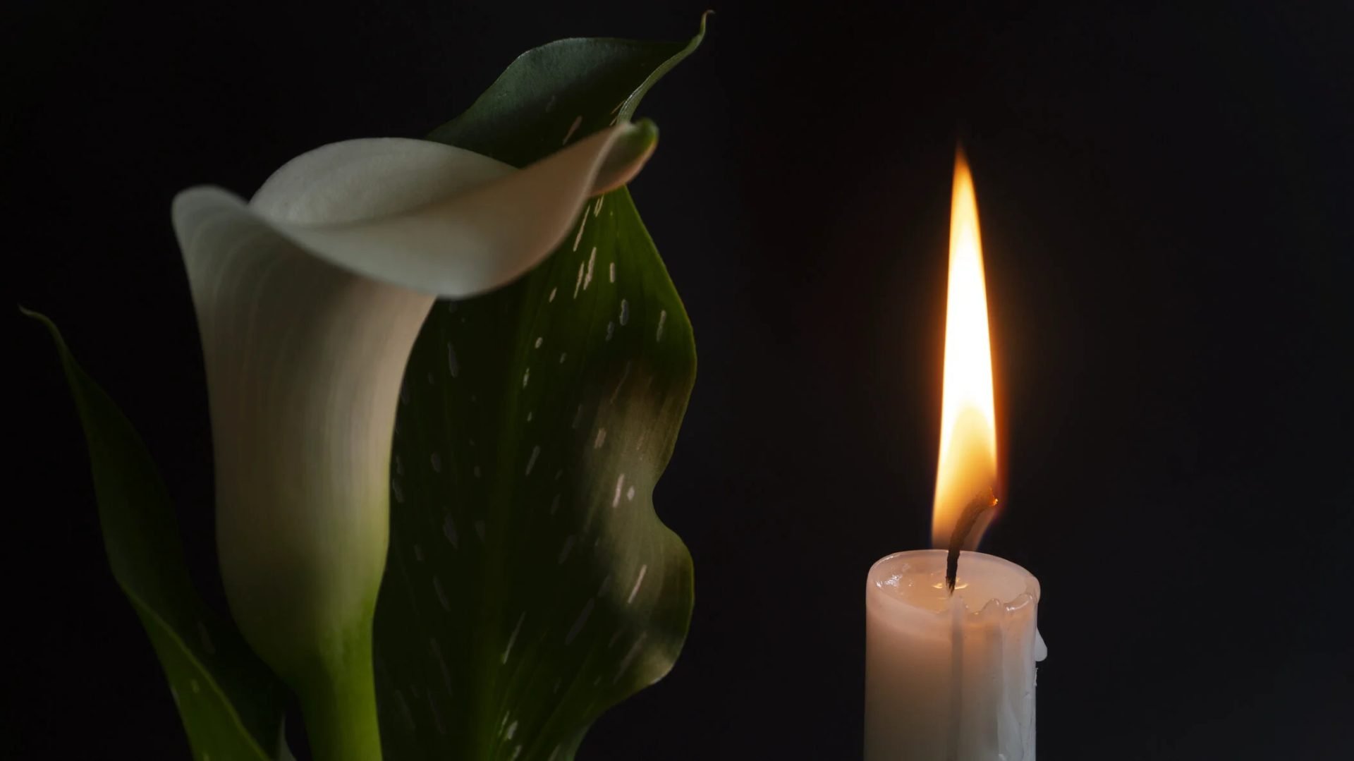 Doliu în Moldova: S-a stins Maestrul Umorului, un simbol recunoscut