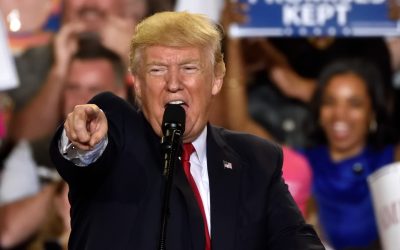 Un parc din București va primi numele lui Donald Trump Primăria Sectorului 4 va amenaja un nou parc în apropierea Parcului Tudor Arghezi, iar acesta va purta numele fostului președinte al Statelor Unite, Donald Trump