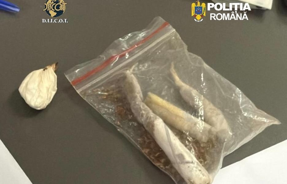 Procurorii DIICOT Cluj au dispus reținerea a doi bărbați, acuzați de trafic de droguri de mare risc, după o anchetă care a durat mai bine de doi ani