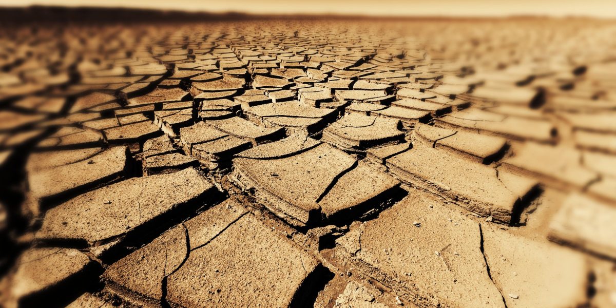 Seceta accelerează apariția bacteriilor rezistente la antibiotice, avertismentul unui studiu