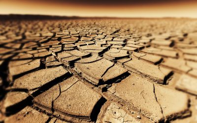 Seceta accelerează apariția bacteriilor rezistente la antibiotice, avertismentul unui studiu