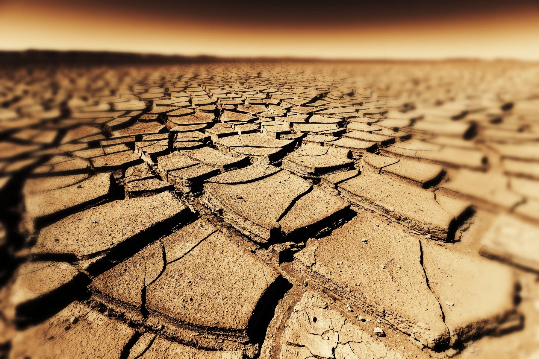 Seceta accentuată poate accelera dezvoltarea bacteriilor rezistente la antibiotice, avertizează un studiu recent Seceta extremă, deja o problemă majoră pentru sectorul agricol și resursele de apă din România, duce și la un risc neașteptat pentru sănătatea publică