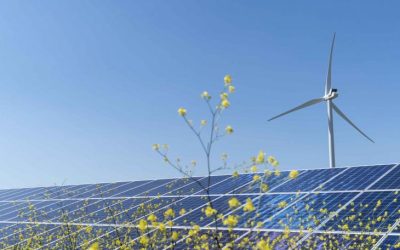 Polonia înregistrează prețuri negative la electricitate pentru prosumatori din cauza exploatării excesive a surselor eoliene și solare