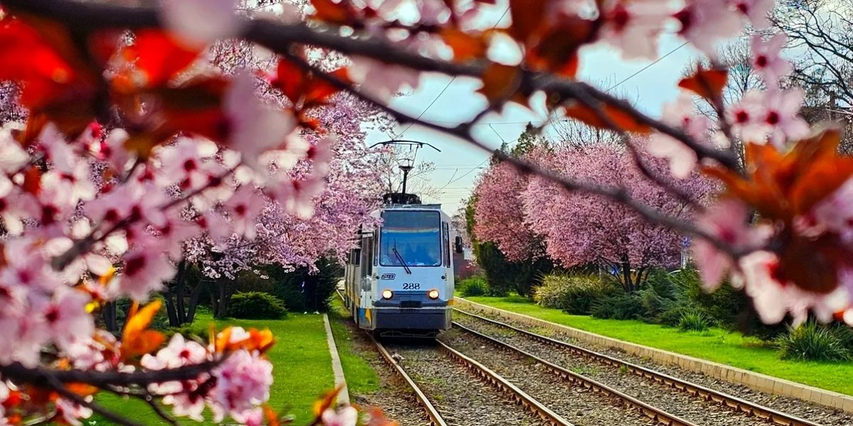 Aprilie a venit cu forțe proaspete în inima țării, aducând cu sine un val de evenimente culturale, artistice și de divertisment care promit să animeze viața locuitorilor din București