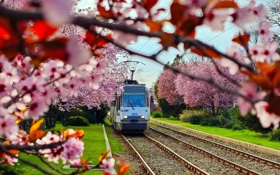 Aprilie a venit cu forțe proaspete în inima țării, aducând cu sine un val de evenimente culturale, artistice și de divertisment care promit să animeze viața locuitorilor din București