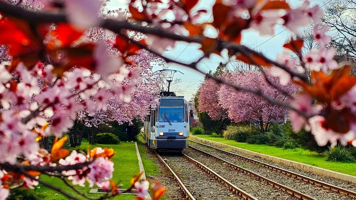 Aprilie a venit cu forțe proaspete în inima țării, aducând cu sine un val de evenimente culturale, artistice și de divertisment care promit să animeze viața locuitorilor din București