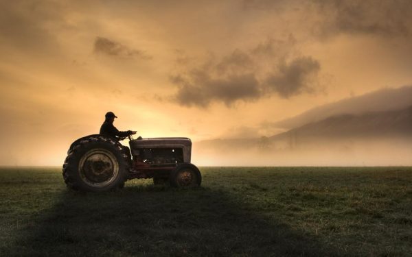 Fermierii, strigăt de ajutor: Guvern și UE, stop crizei din agricultură!