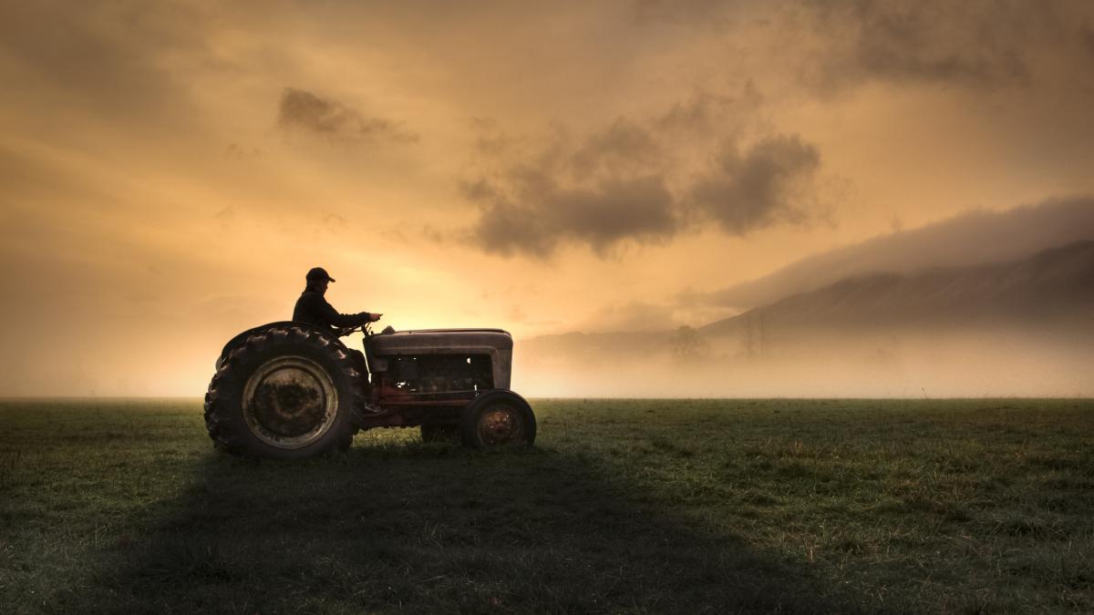 Fermierii, strigăt de ajutor: Guvern și UE, stop crizei din agricultură!