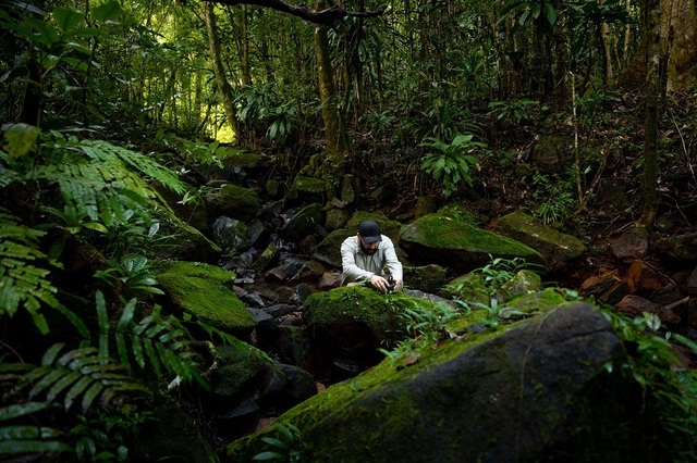 Sunetele Carpaților: Zimbri, cerbi și acvile, pe Earth FM.