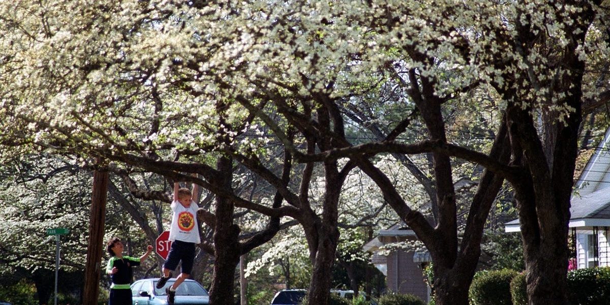 După una dintre cele mai reci luni februarie înregistrate, regiunea Cape Fear din Statele Unite a fost martora unui val de căldură neașteptat, în condițiile în care martie a fost cel mai cald și uscat din ultimii ani