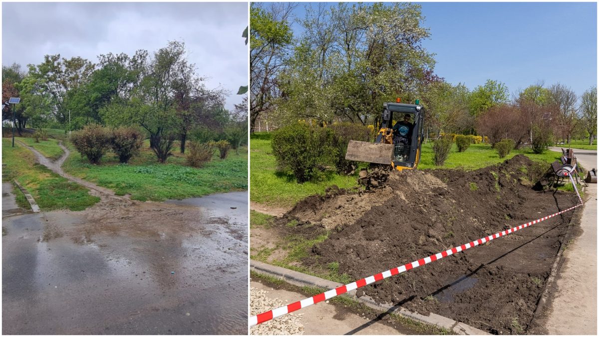 Grădina de ploaie în Parcul Tineretului: București, un pas spre sustenabilitate