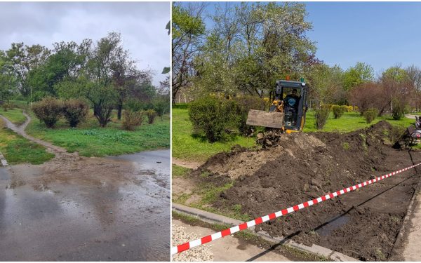 Grădina de ploaie în Parcul Tineretului: București, un pas spre sustenabilitate
