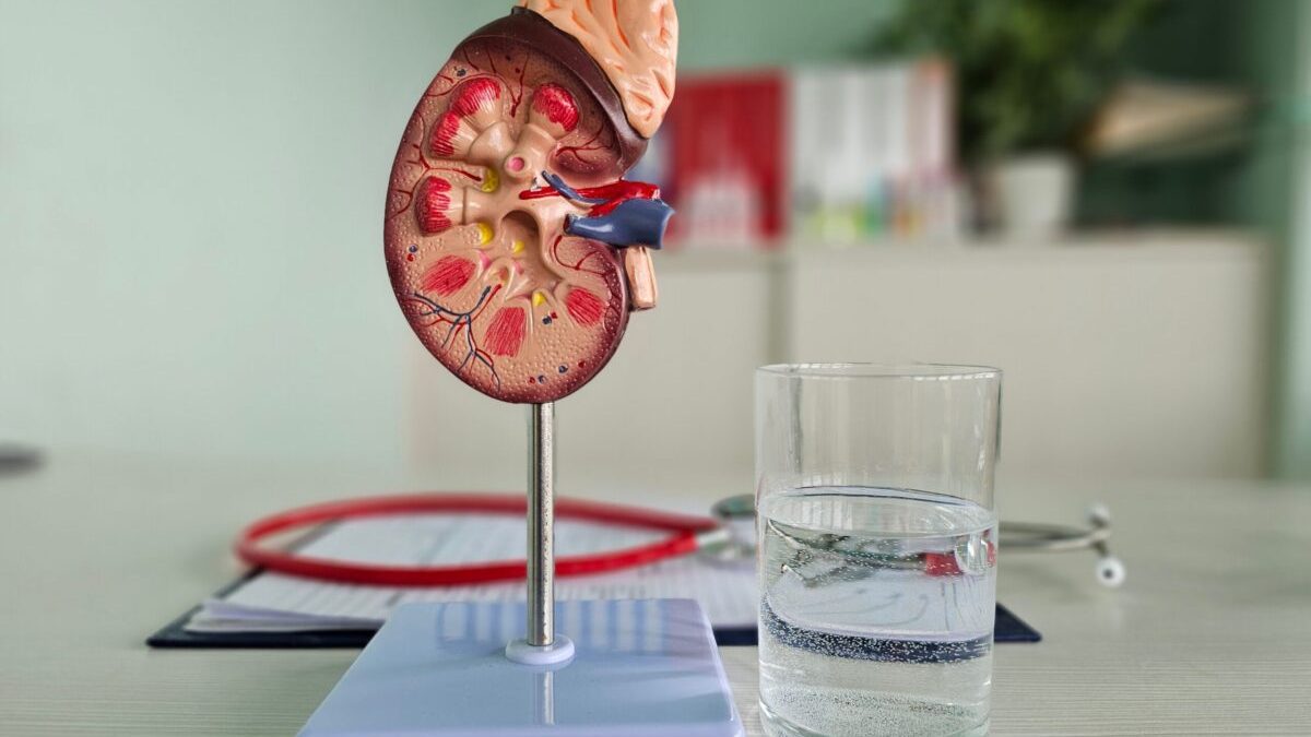 Obiceiul banal care-ți salvează rinichii: Recomandările medicilor-vedetă