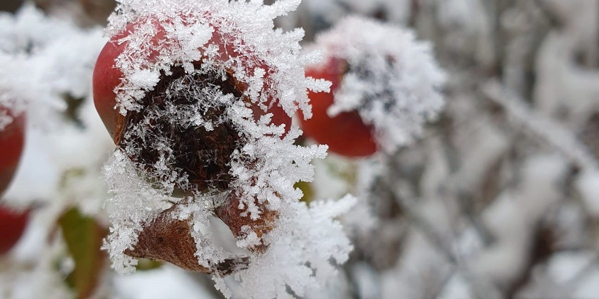 Iarna se instalează din nou peste România, aducând ninsori, brumă și temperaturi negative, potrivit ultimelor avertizări meteorologice