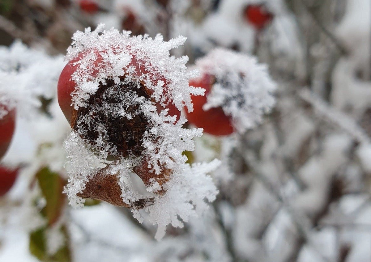 Iarna se instalează din nou peste România, aducând ninsori, brumă și temperaturi negative, potrivit ultimelor avertizări meteorologice