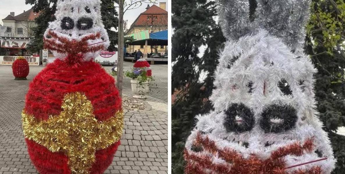 Iepurași horror în Baia Mare: localnicii, șocați de „groza”!