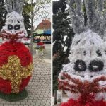 Iepurași horror în Baia Mare: localnicii, șocați de „groza”!