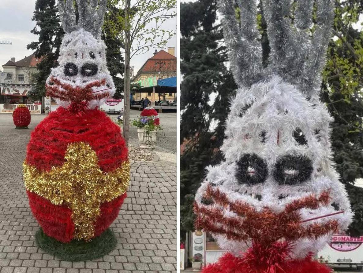 Iepurași horror în Baia Mare: localnicii, șocați de „groza”!